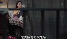 番薯姐姐爆料了吗视频,视频内容深度解析